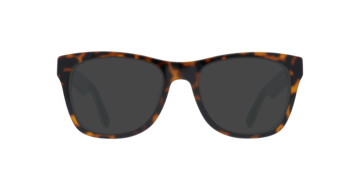 Tortoise Teal Festival -  Acetate Sunglasses