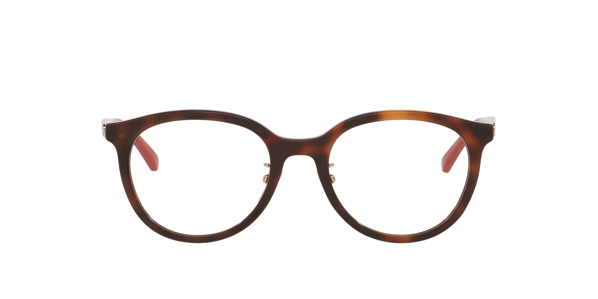 Tortoise GG1867OK -  Acetate