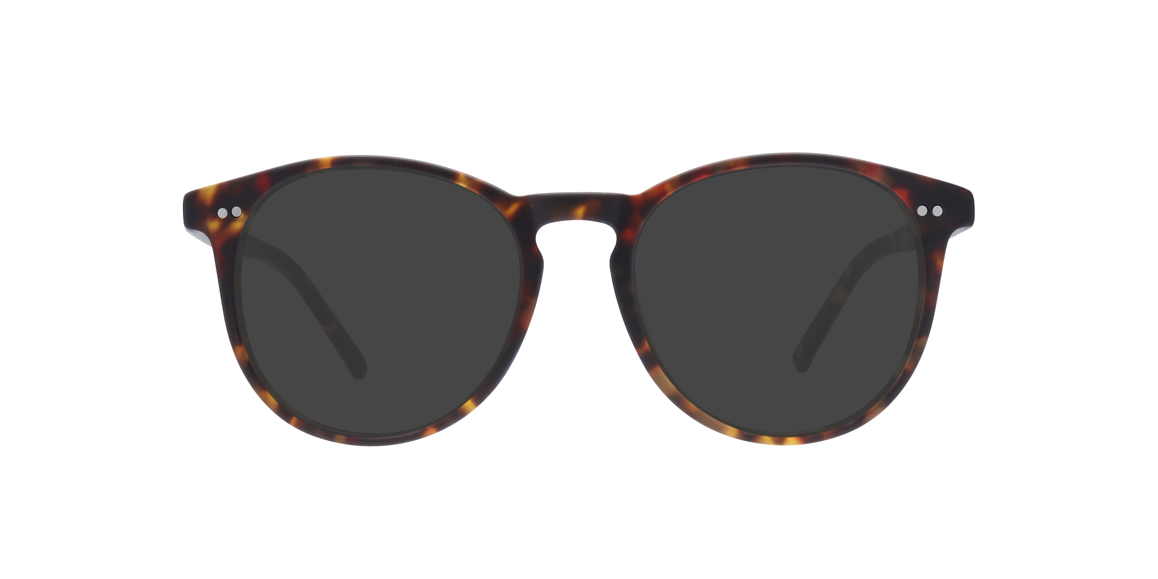 Matte Tortoise Logan 2 -  Acetate