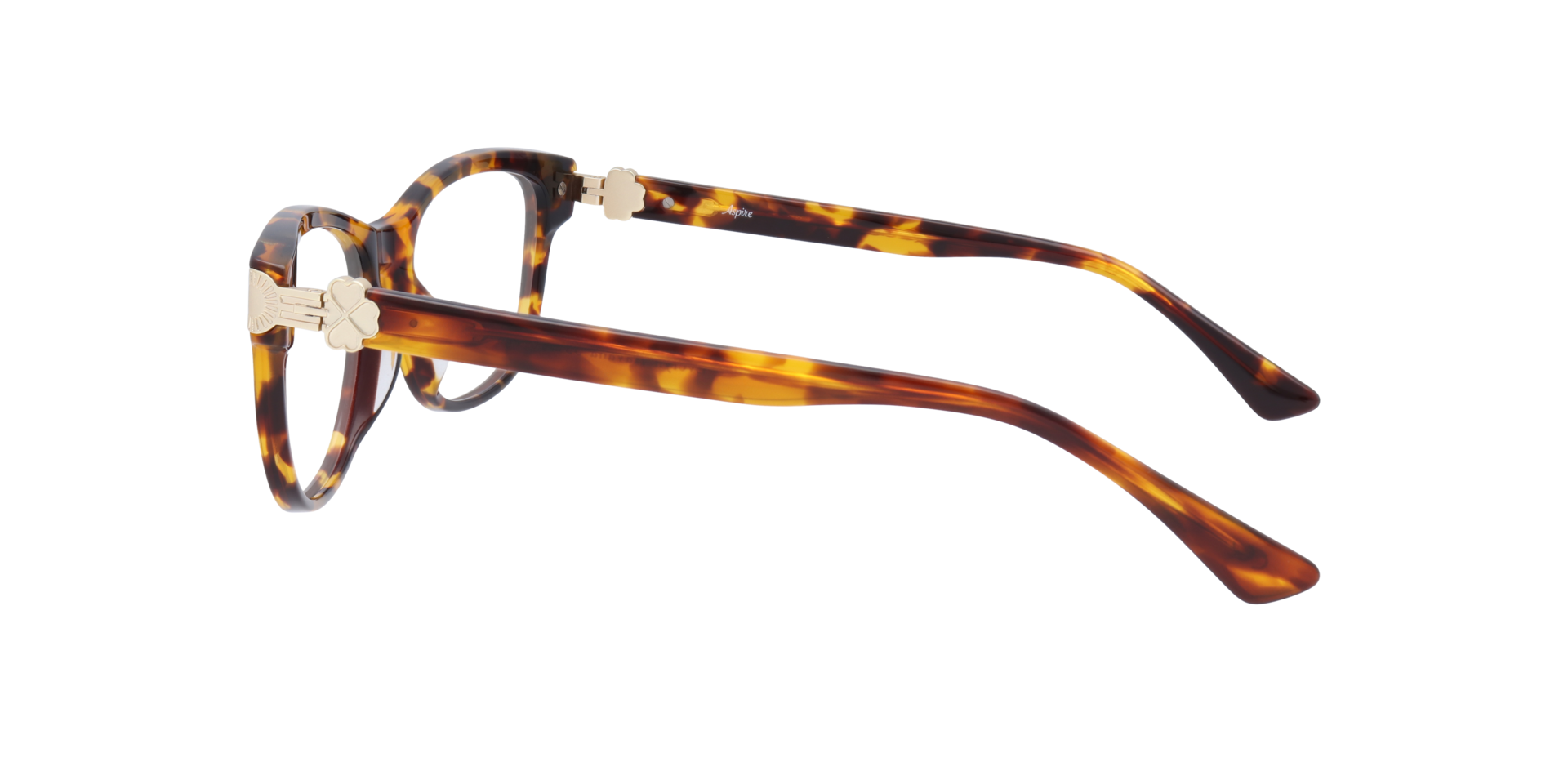 Evelyn Havana AcetateEyeglass Frames for Glasses Direct, Side View