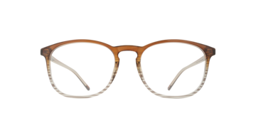 Gradient Brown Lake -  Plastic Glasses