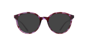 Shiny Red/Purple Bevis -  Plastic Sunglasses