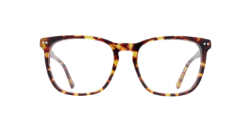 Spotty Havana Elsie -  Acetate Glasses