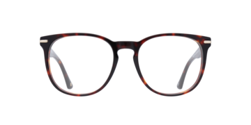 Havana Epping -  Acetate Glasses