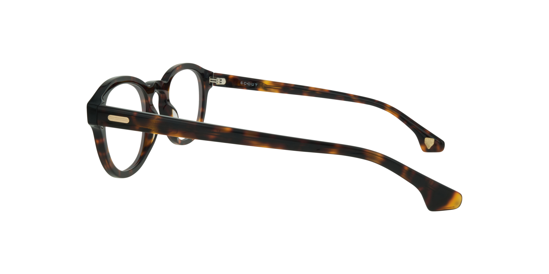 Keanu Havana AcetateEyeglass Frames for Glasses Direct, Side View