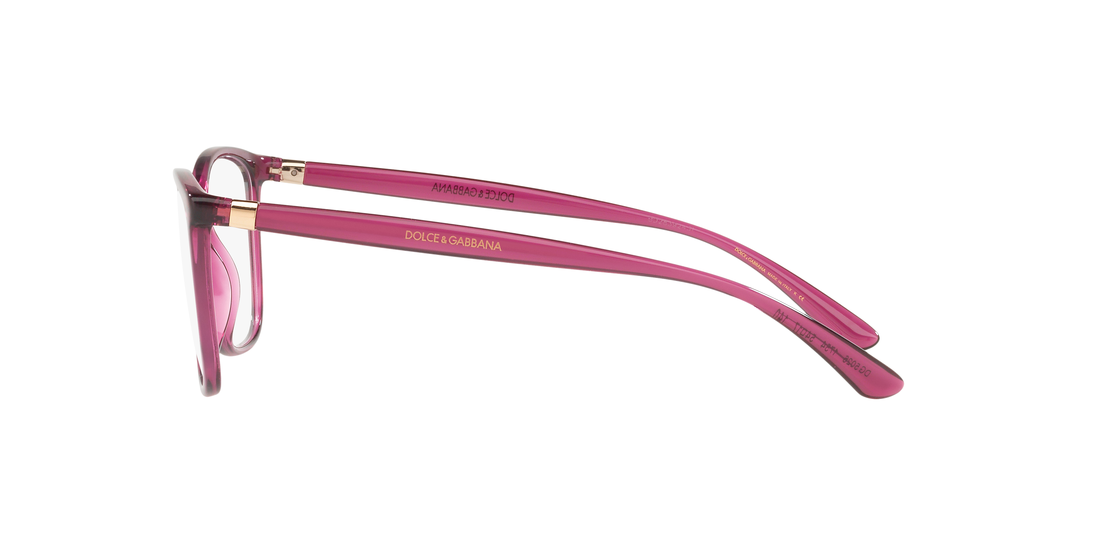 DG5026 Transparent Dark Cherry PlasticEyeglass Frames for Glasses Direct, Side View