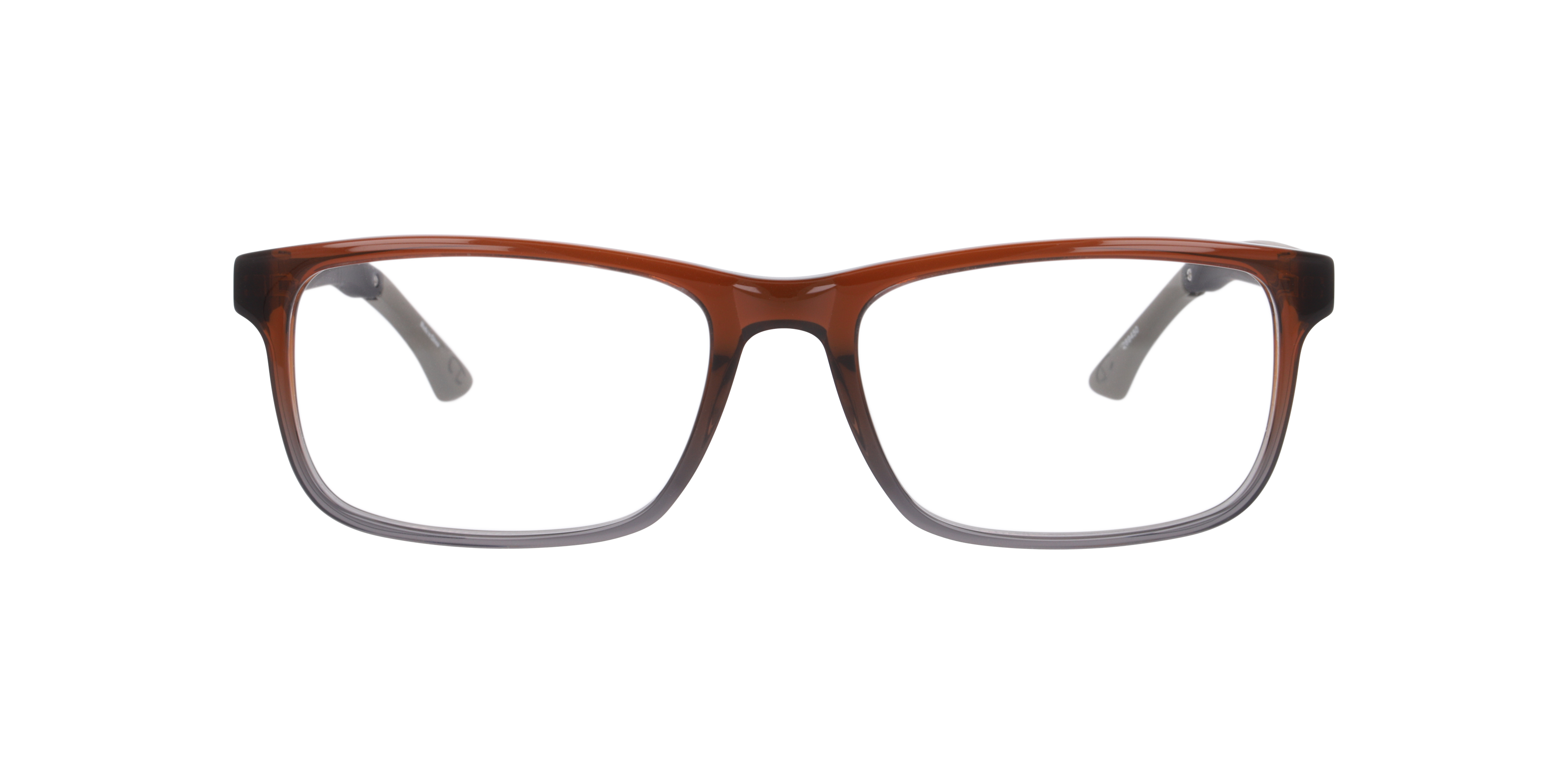 Brown Cuscorex -  Acetate