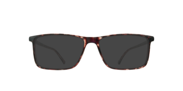 Shiny Havana Ledger -  Plastic Sunglasses