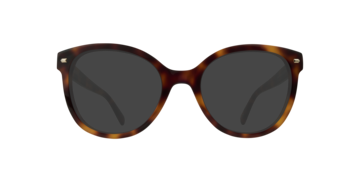 Havana Jade -  Acetate Sunglasses