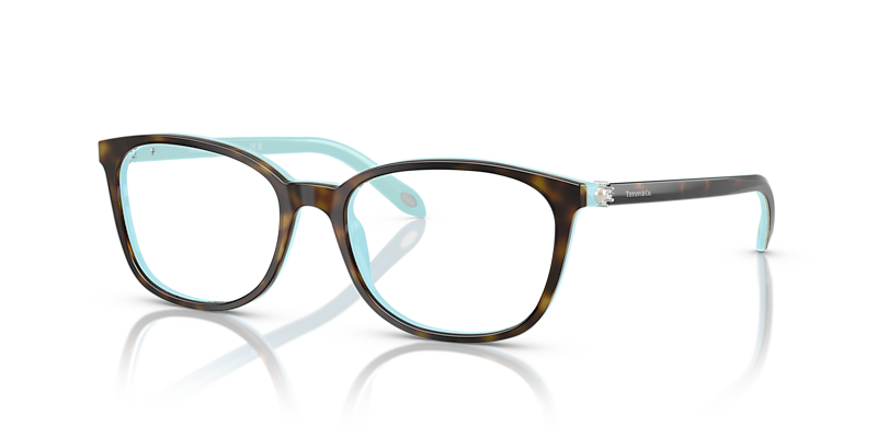 TF2109BF