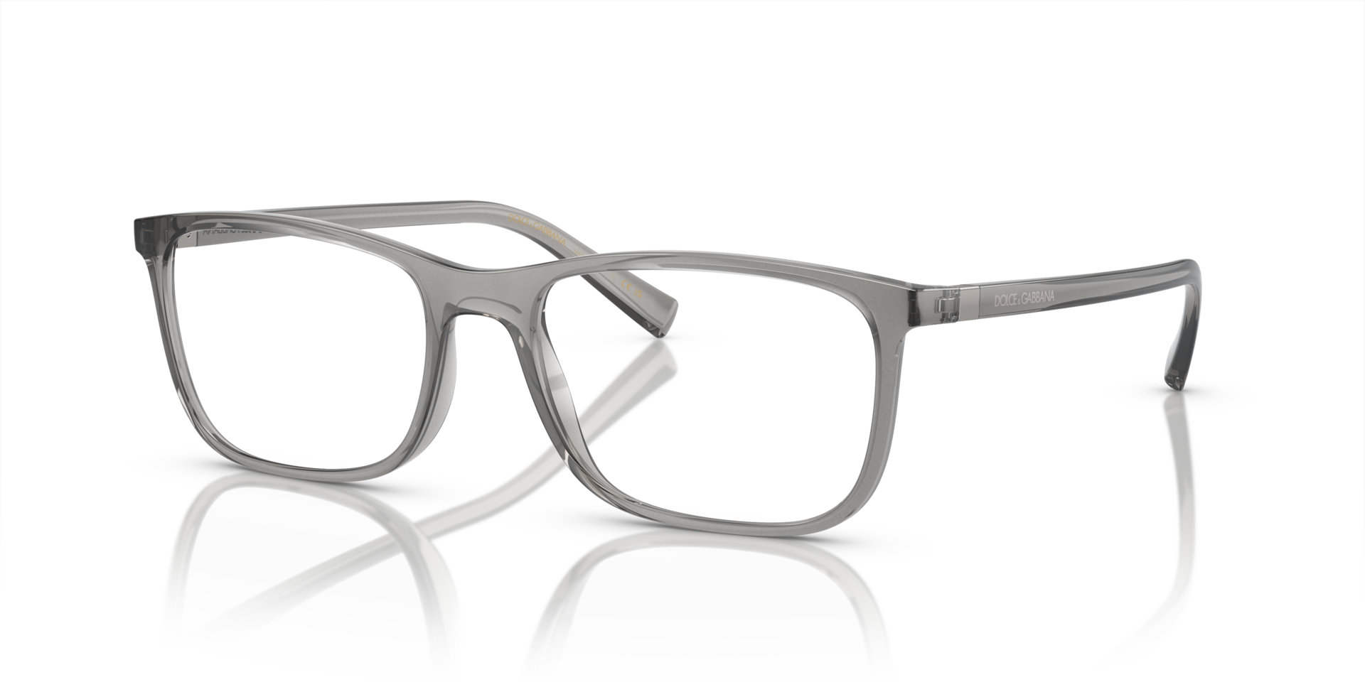 DG5027 Transparent Grey PlasticEyeglass Frames for Glasses Direct, Angle View