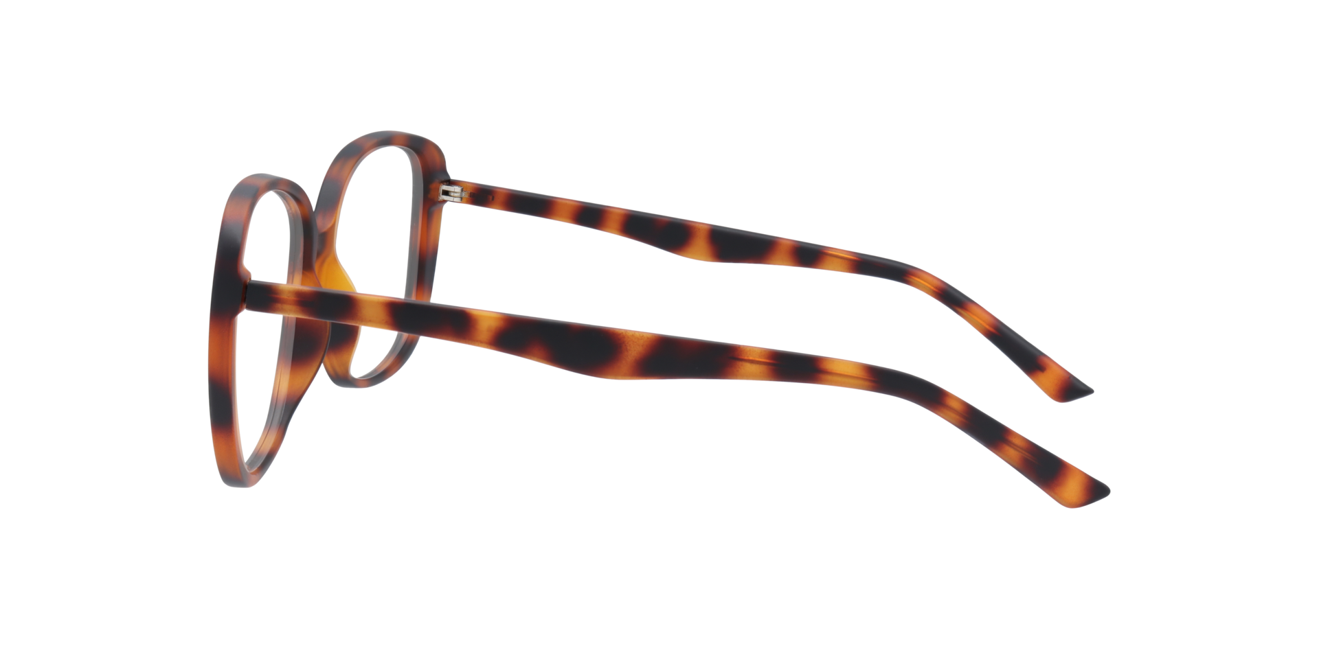 Becca Matte Havana PlasticEyeglass Frames for Glasses Direct, Side View