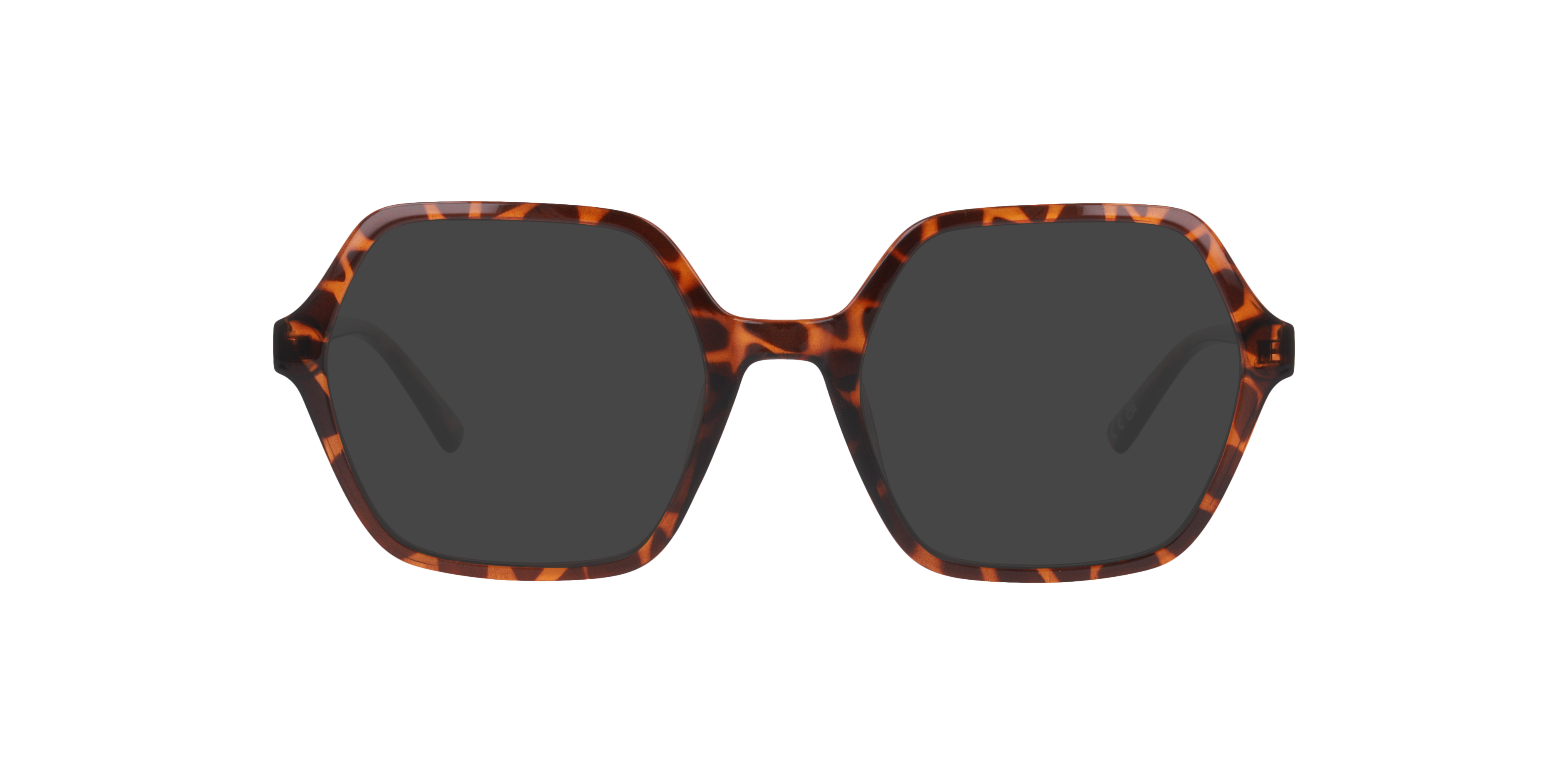 Havana Brown Molly -  Plastic