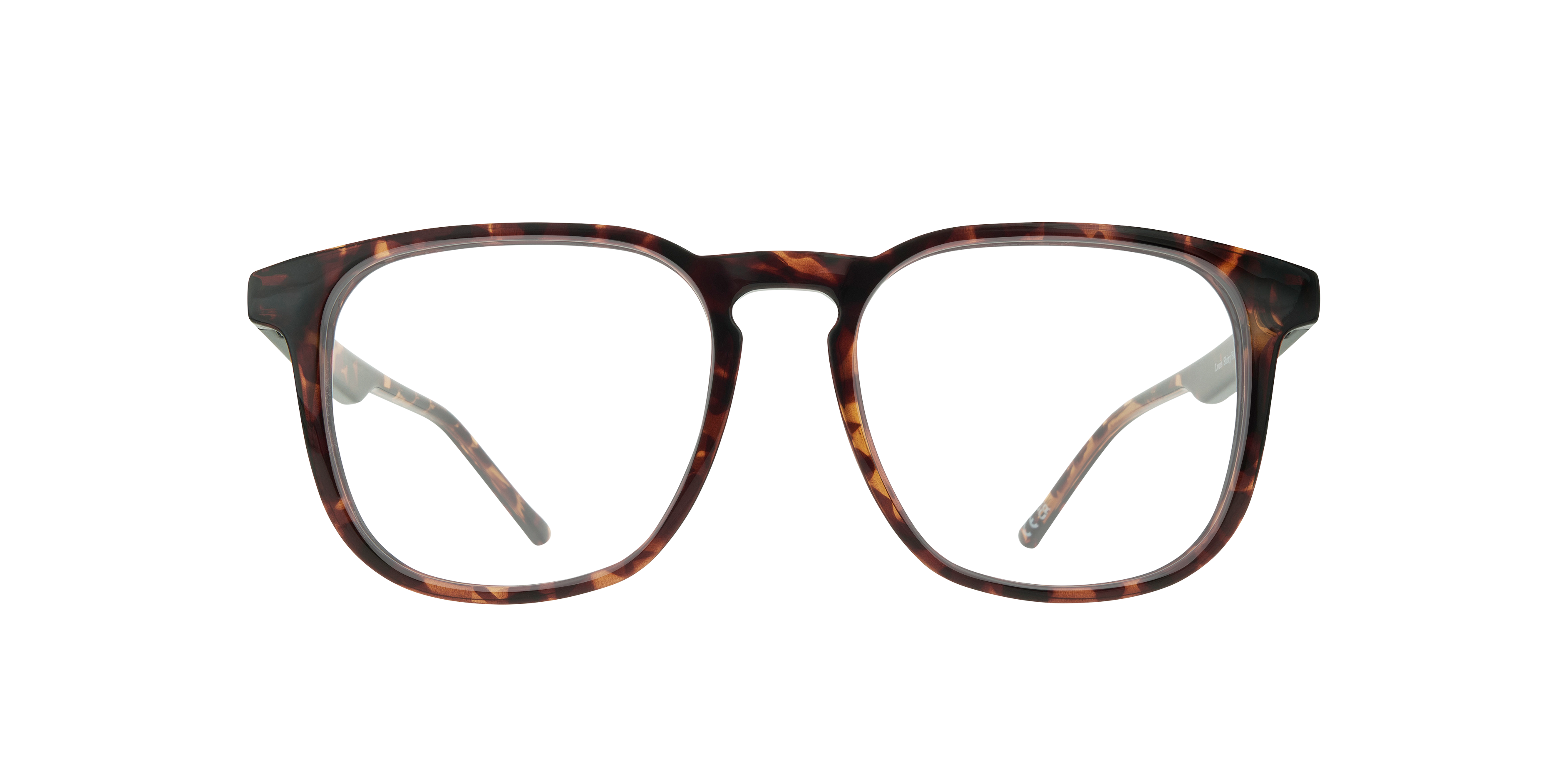 Shiny Havana Louis -  Plastic
