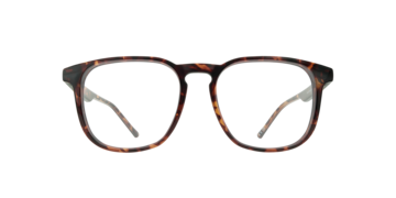 Shiny Havana Louis -  Plastic Glasses